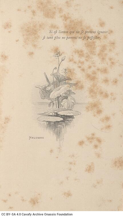 13.5 x 8 cm; 16 s.p. + 140 p. + [IV] p. + 32 appendix p., price of the book “2 francs” on its spine. L. 1 bookplate CPC o